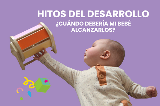 Hitos del desarrollo, ¿cuándo debería mi bebé alcanzarlos?